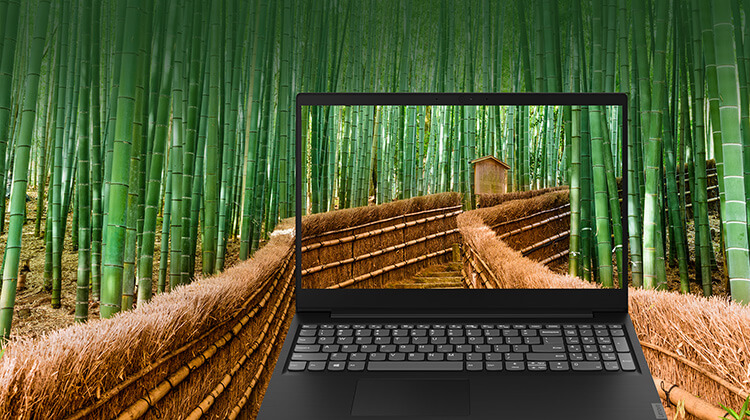 co2-offset-dervices-bamboo-laptop